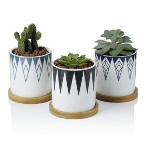002e01bbc703c8c5e788066a2c75eee3 "Mini Garden Trio"