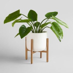 c6afe9e39f41375cc664d4ec638a0862 "Scandi Minimal"